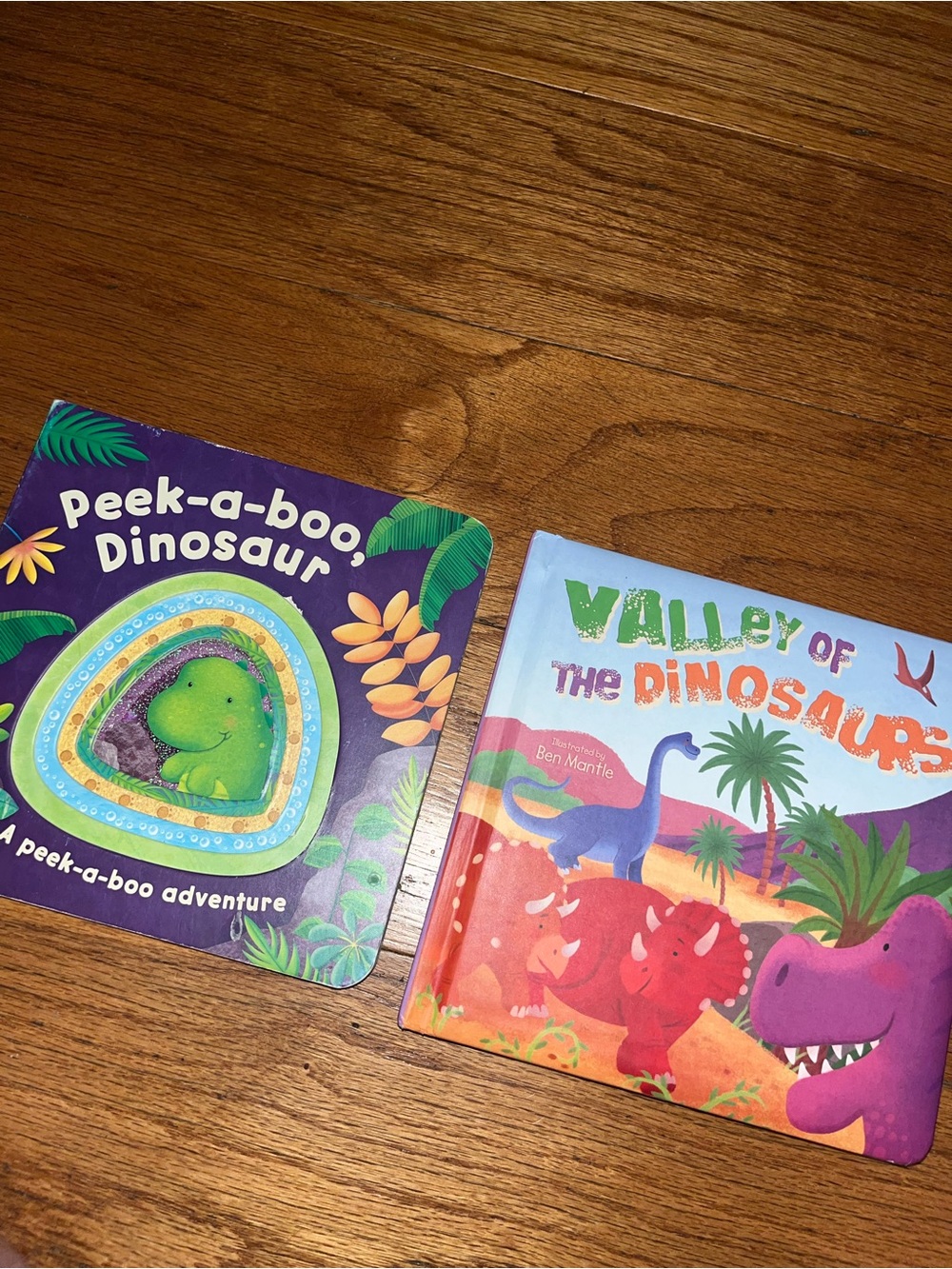 Peek-a-boo Dinosaur & Valley of the Dinosaurs Board Books 2 Board Books as pic